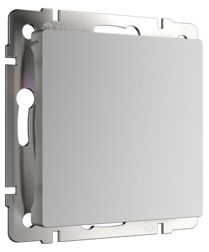 Заглушка без рамки Werkel серебряный глянцевый фото Заглушка без рамки Werkel серебряный глянцевый картинка